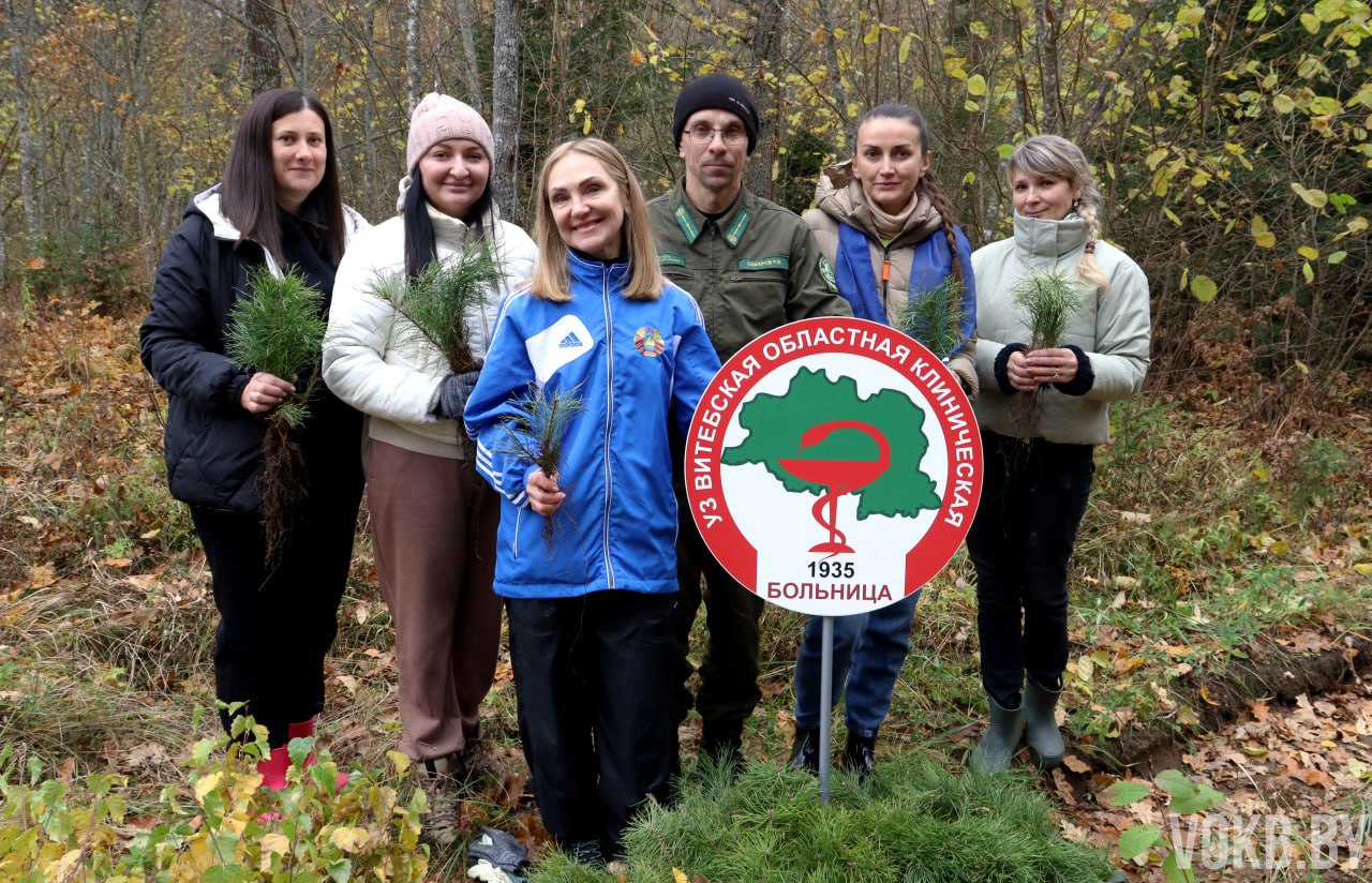 Коллектив ВОКБ во второй раз присоединились к республиканским акциям «Дай лесу новае жыццё!» и «7 шагов по дороге добра», которые проходят в рамках Года благоустройства и в честь 80-летия Победы в Великой Отечественной войне