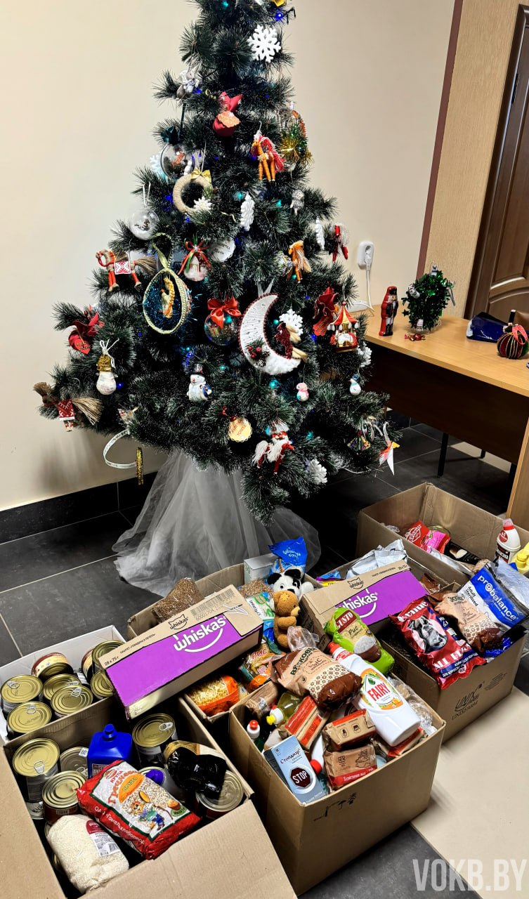 Помощь от чистого сердца передана в приют «Добрик»! 