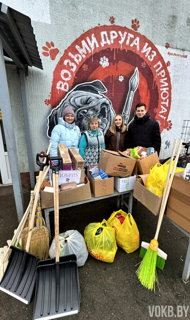 Помощь от чистого сердца передана в приют «Добрик»! 